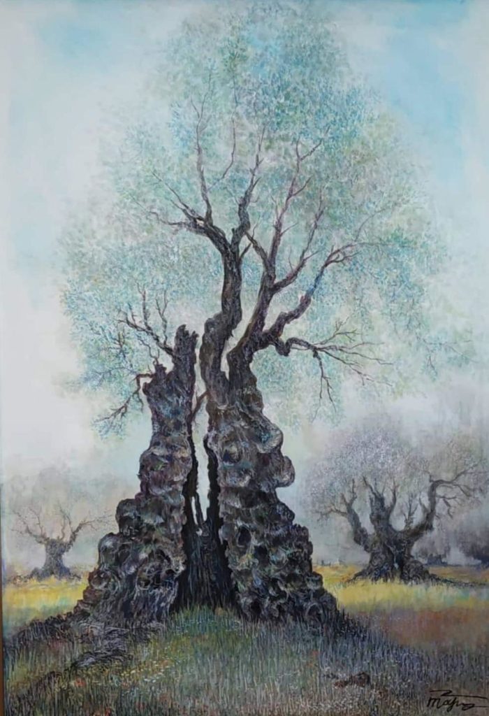 ancient olive tree